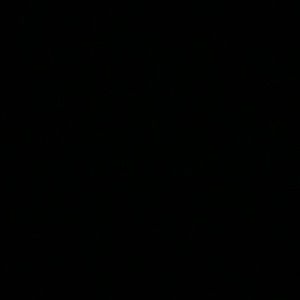 Meet your Posher, Alina